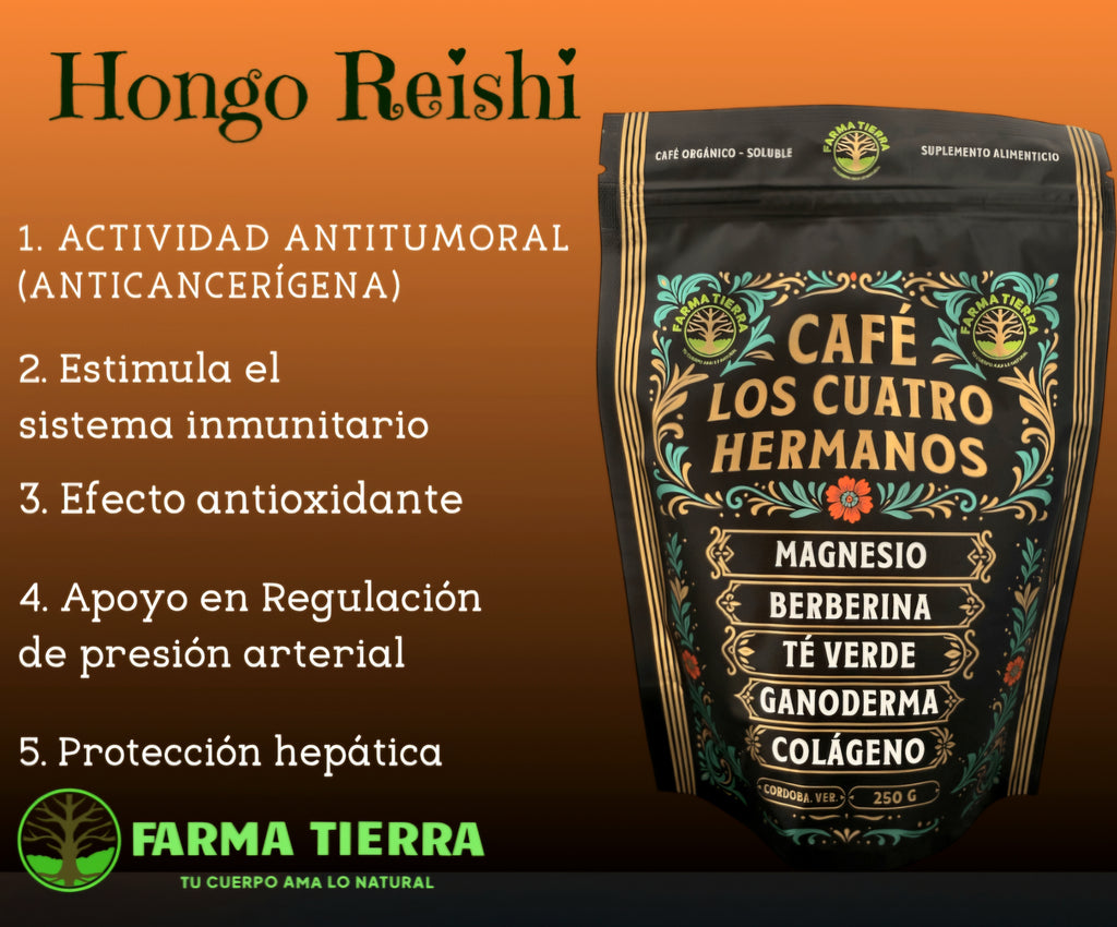 Café Orgánico Soluble Cuatro Hermanos con Magnesio, Colágeno, Berberina, Té Verde y Hongo Reishi 250 g