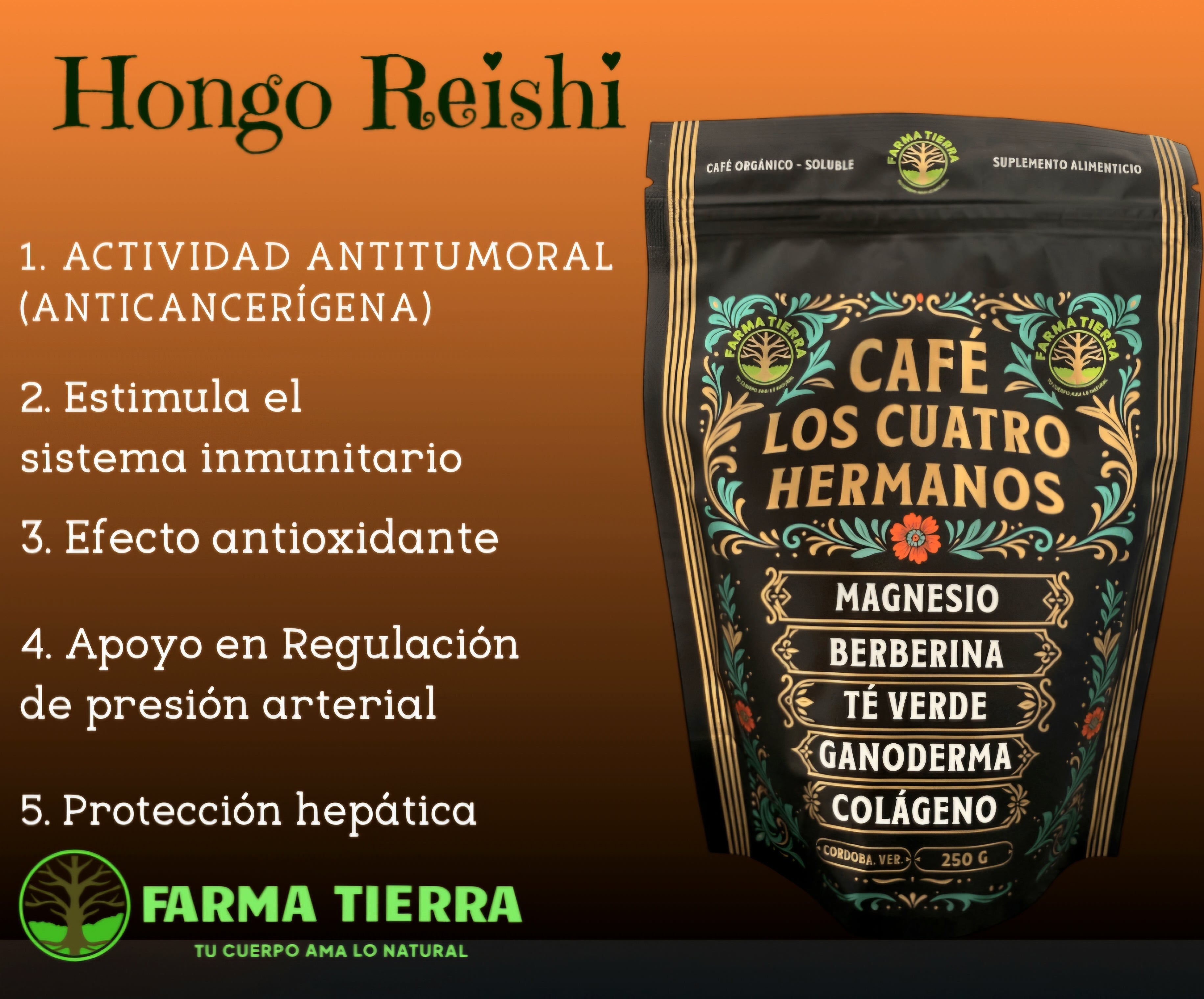 Café Orgánico Soluble Cuatro Hermanos con Magnesio, Colágeno, Berberina, Té Verde y Hongo Reishi 250 g
