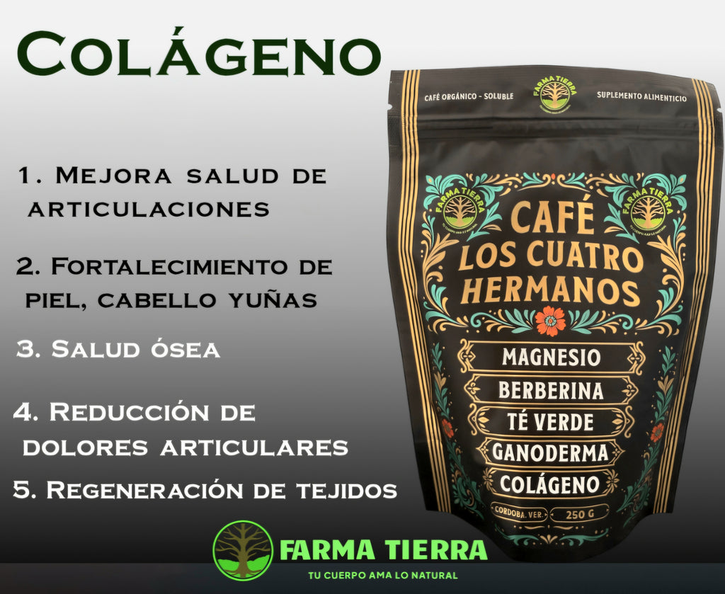 Café Orgánico Soluble Cuatro Hermanos con Magnesio, Colágeno, Berberina, Té Verde y Hongo Reishi 250 g