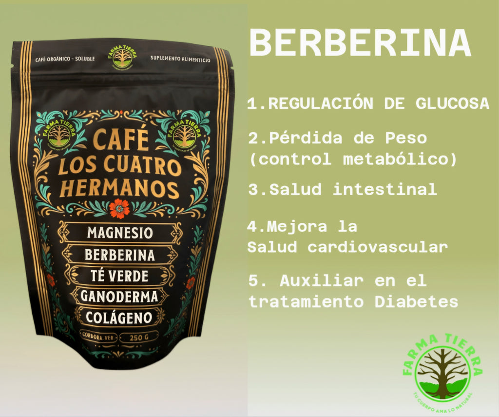 Café Orgánico Soluble Cuatro Hermanos con Magnesio, Colágeno, Berberina, Té Verde y Hongo Reishi 250 g