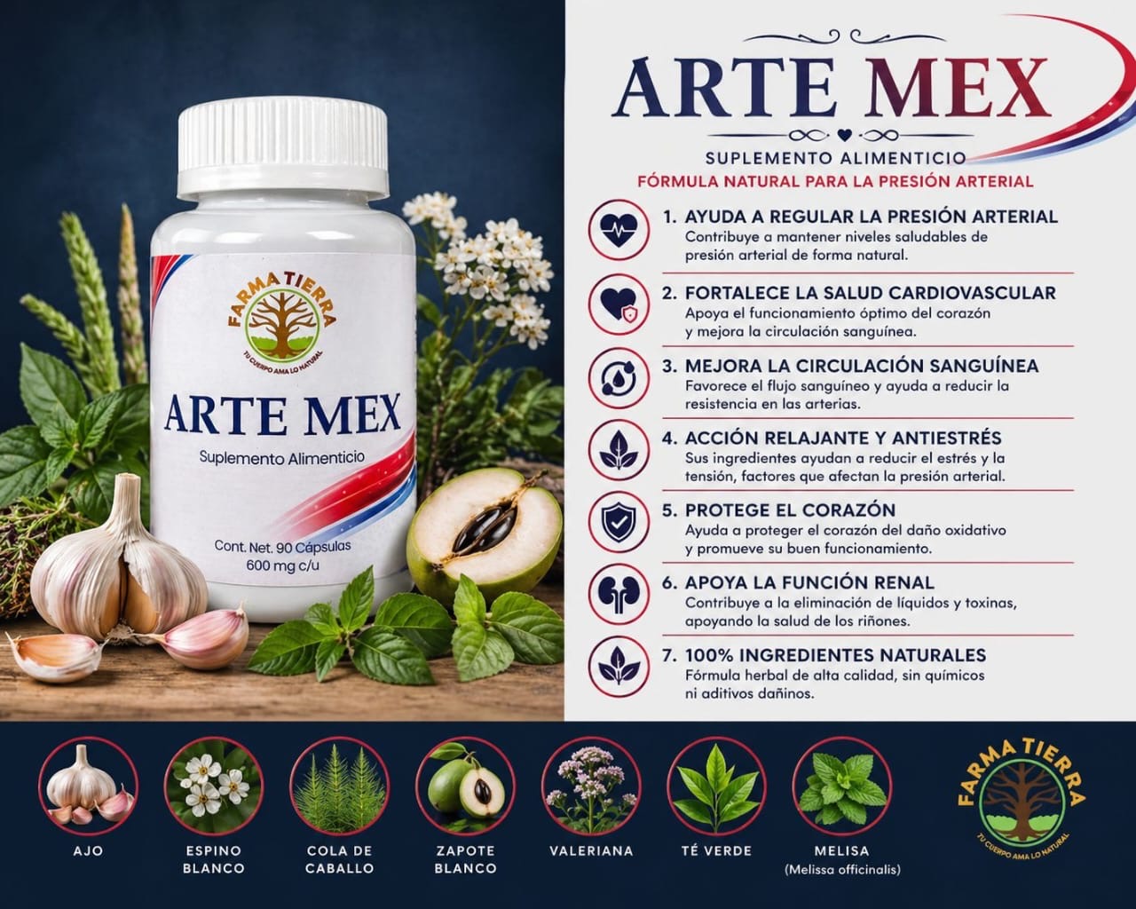 Arte-Mex