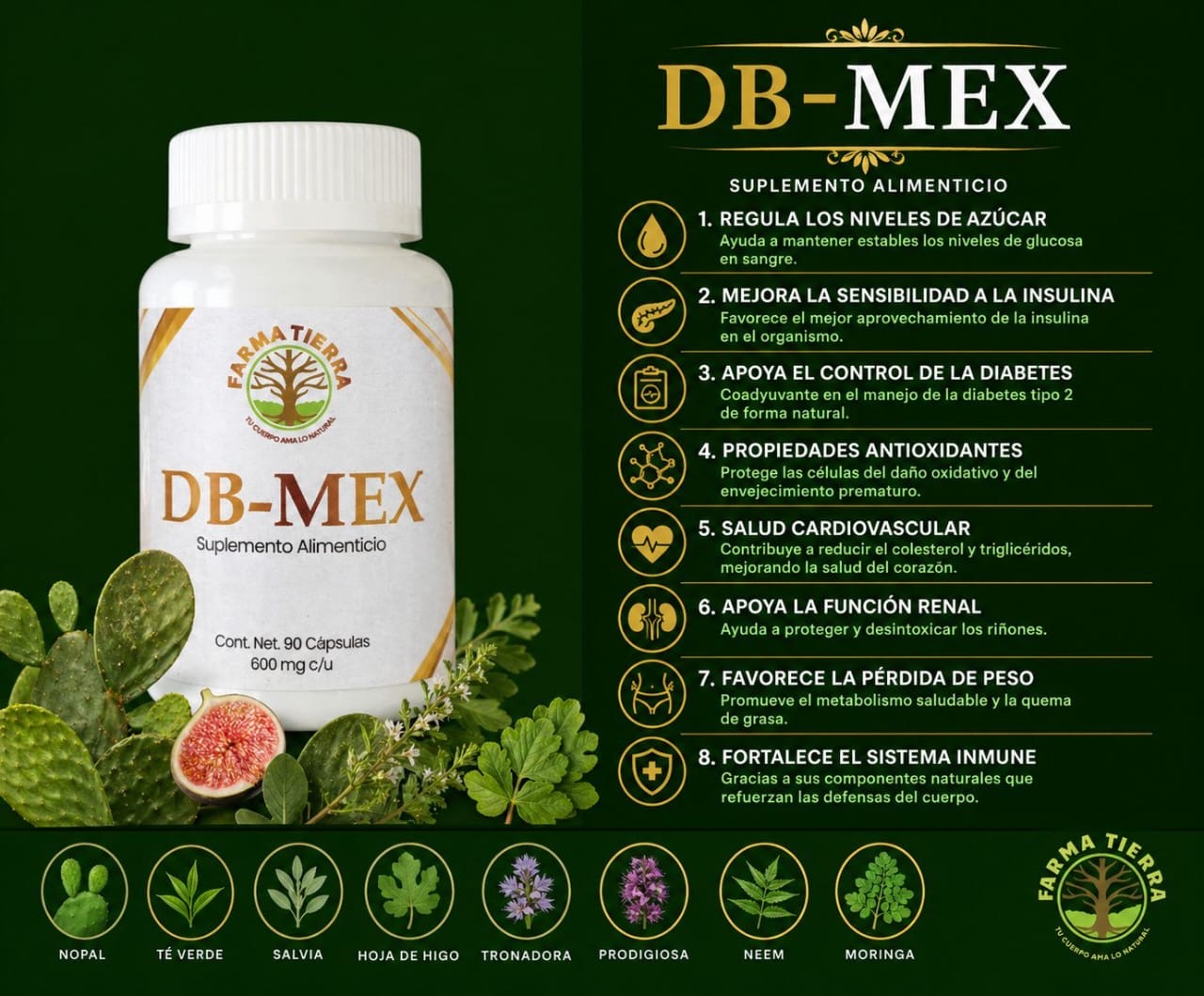 DB-MEX